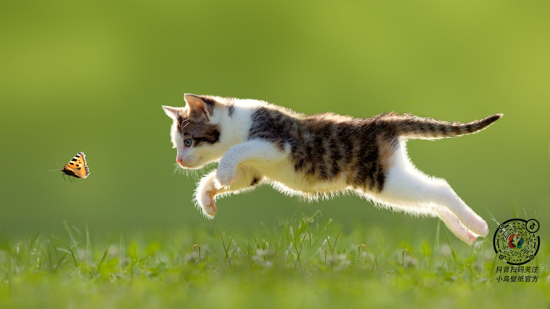 德甲球队利用脑电反馈优化专注力和反应速度，脑电专注力训练